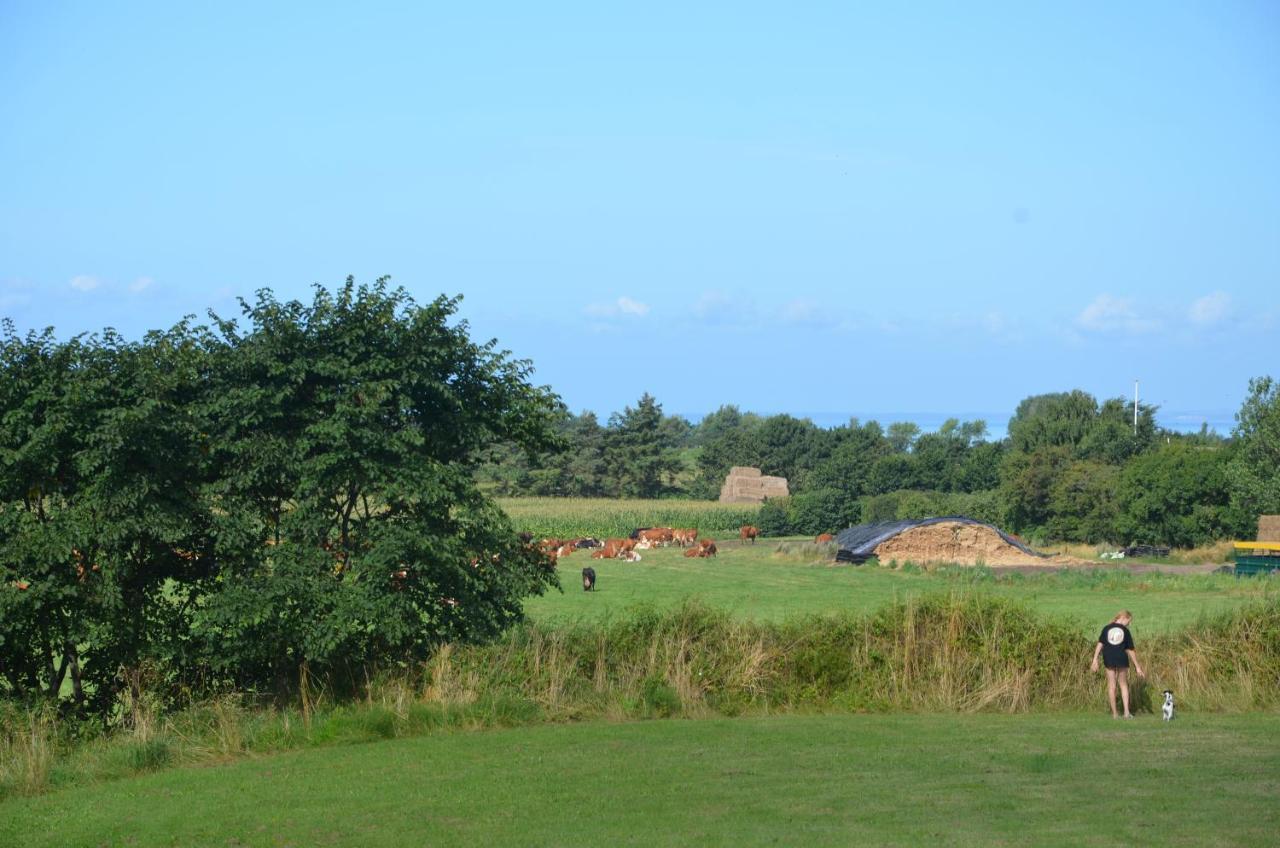Camping & Feriecenter Samso Kolby Exteriér fotografie